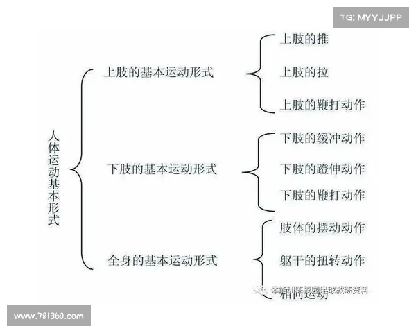 体能训练方法全面解析助力提高运动表现与身体素质的科学路径